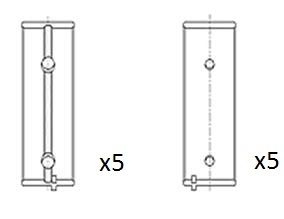 Crankshaft Bearing